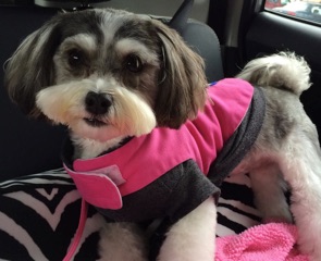 Abby in pink dress